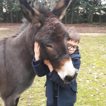 Chez Sally Et Mario Alojamento de Acomodação e Pequeno-almoço