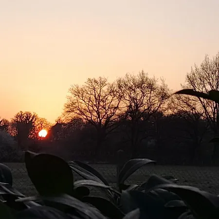 Chez Sally Et Mario *