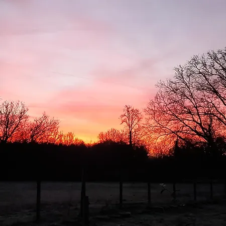 Chez Sally Et Mario *