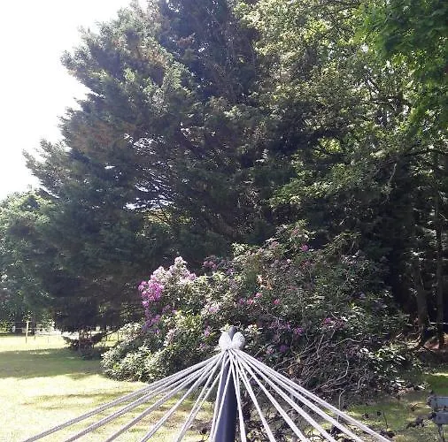 Frühstückspension Chez Sally Et Mario Arnage