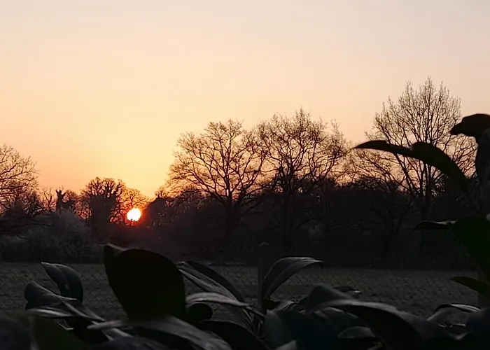 Chez Sally Et Mario *