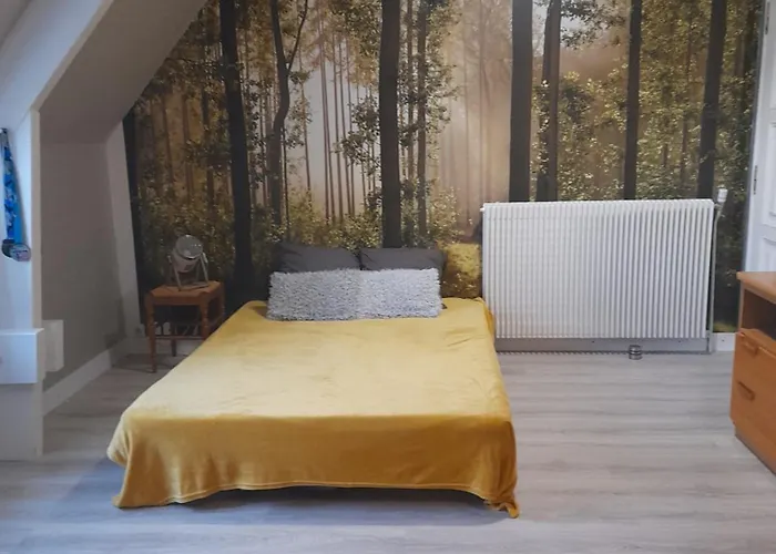 Frühstückspension Chez Sally Et Mario Arnage