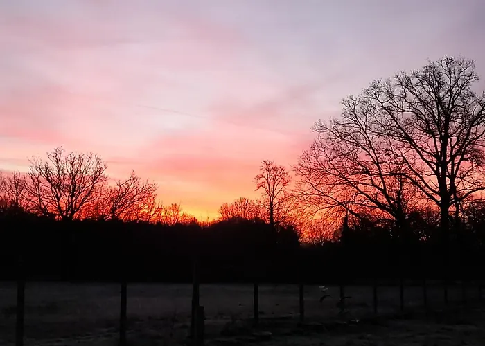 Chez Sally Et Mario *